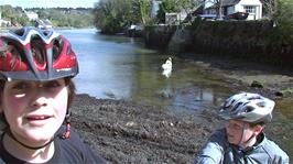 Zac is pleased to have found swans again on our Easter tour, as we did last year, this time at Helford